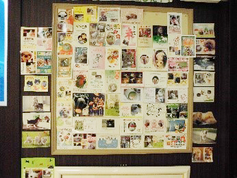 毎年写真付年賀状がたくさん送られてきます